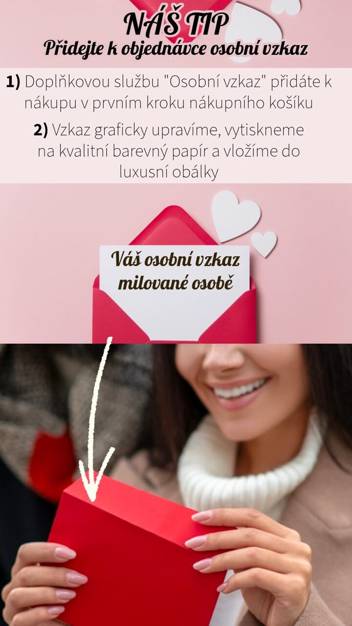 grafika_medvidarek_2024_3 (1)